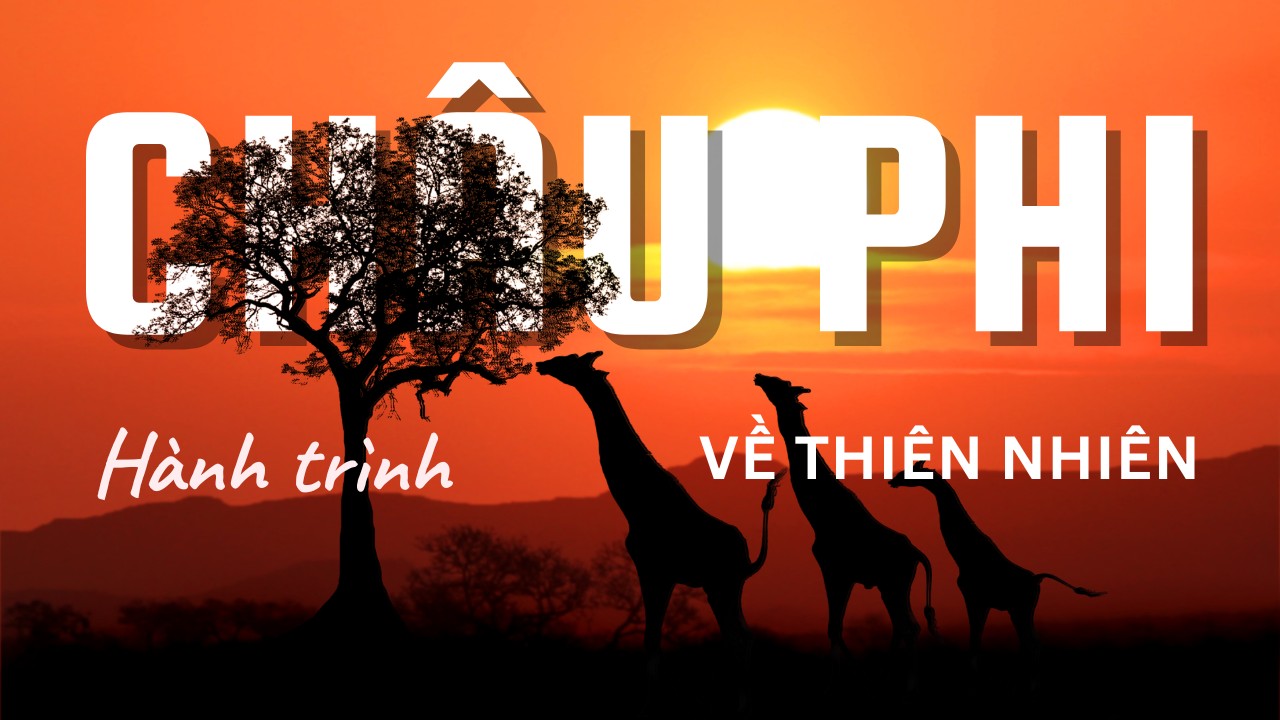 Hành trình về thiên nhiên cùng Tour Châu Phi